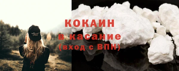 ГАЛЛЮЦИНОГЕННЫЕ ГРИБЫ Михайлов