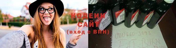 ГАЛЛЮЦИНОГЕННЫЕ ГРИБЫ Михайлов