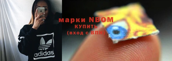 ГАЛЛЮЦИНОГЕННЫЕ ГРИБЫ Михайлов