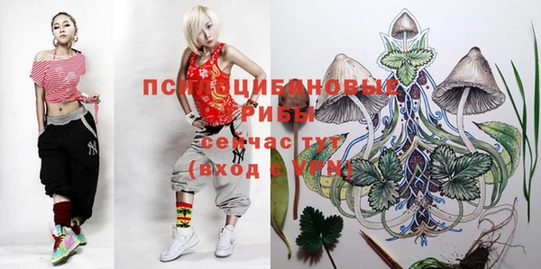mdma Михайловск