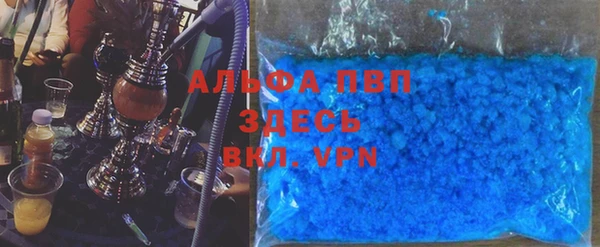 ГАЛЛЮЦИНОГЕННЫЕ ГРИБЫ Михайлов