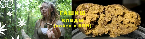 ГАЛЛЮЦИНОГЕННЫЕ ГРИБЫ Михайлов