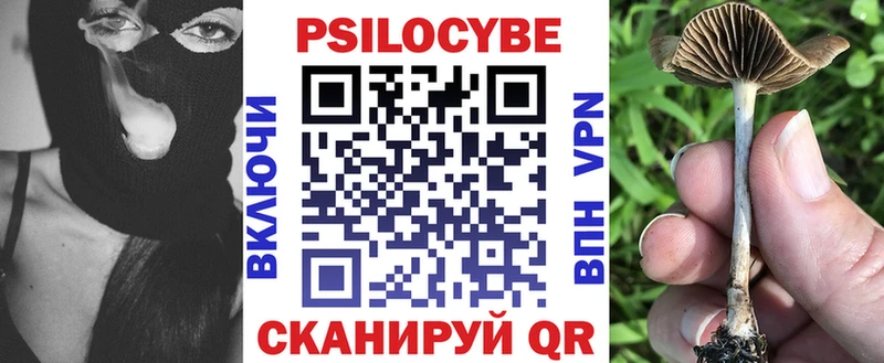Псилоцибиновые грибы Psilocybine cubensis  Купить закладки  Полысаево 